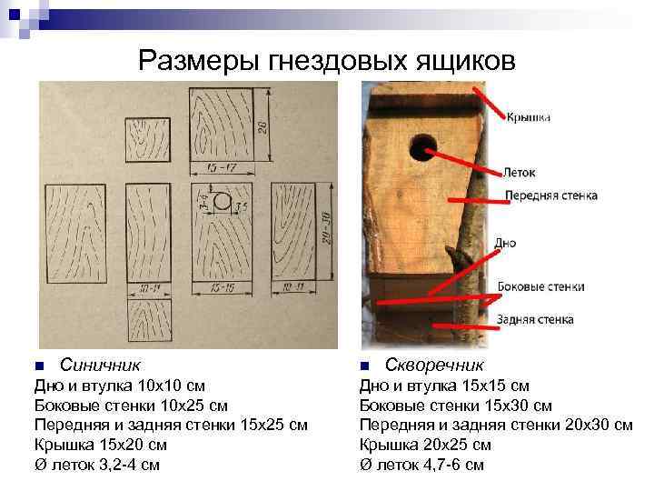 Размеры гнездовых ящиков n Синичник Дно и втулка 10 х10 см Боковые стенки 10