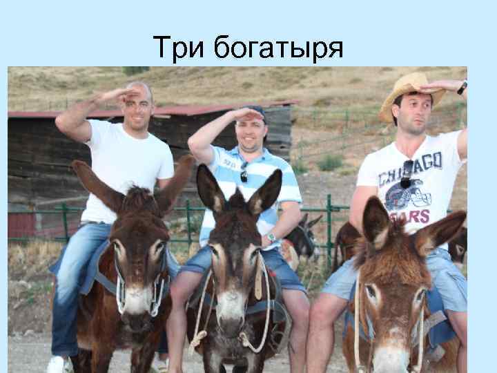 Три богатыря 