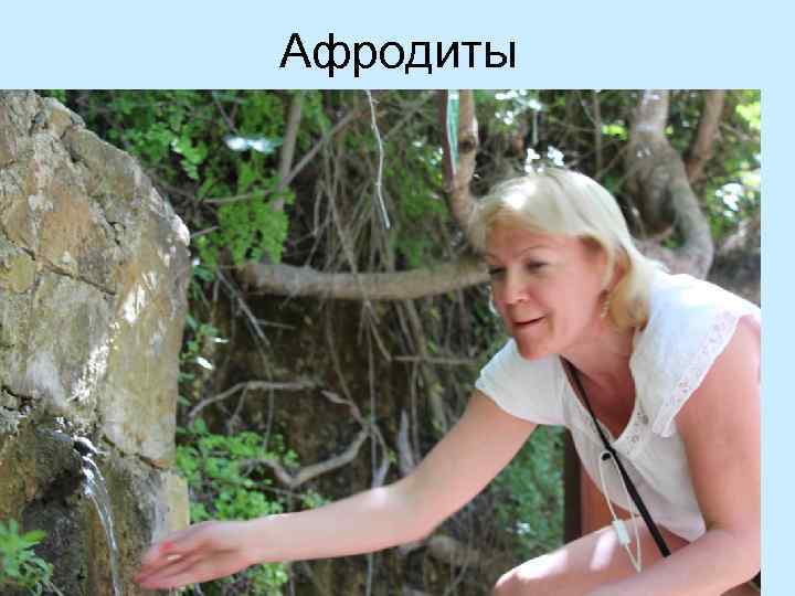 Афродиты 