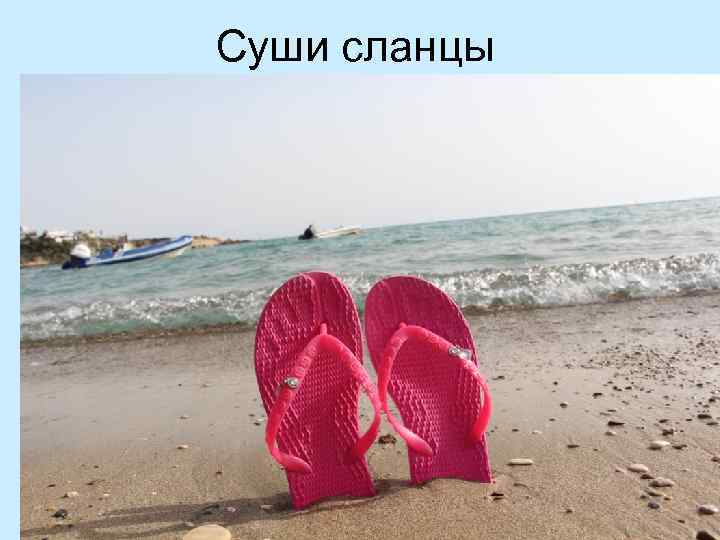 Суши сланцы 