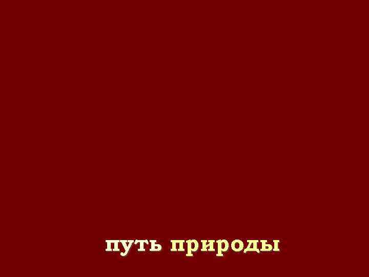 путь природы 