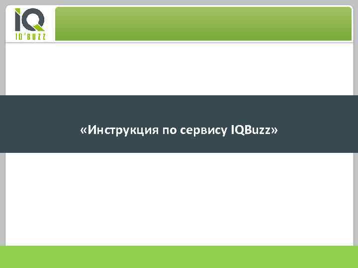  «Инструкция по сервису IQBuzz» 