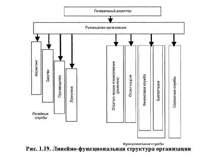 Рис. 1. 19. Линейно функциональная структура организации 
