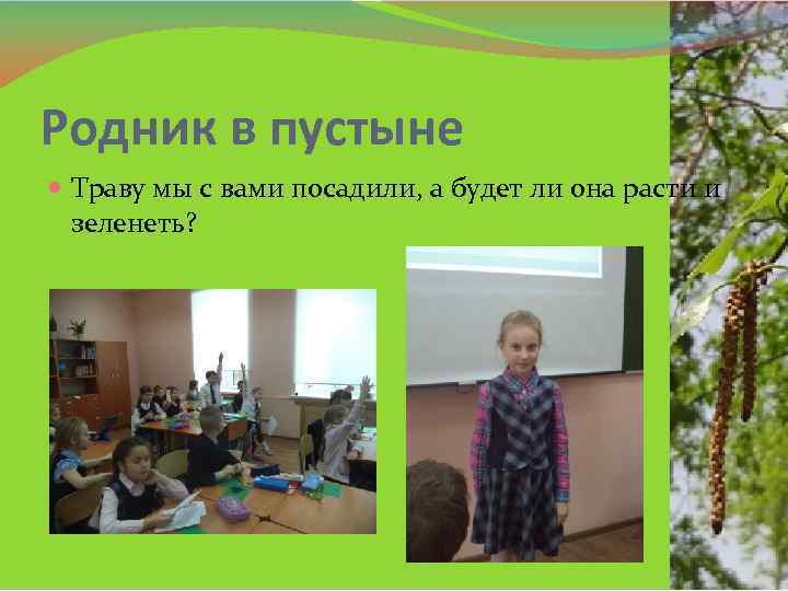 Родник в пустыне Траву мы с вами посадили, а будет ли она расти и