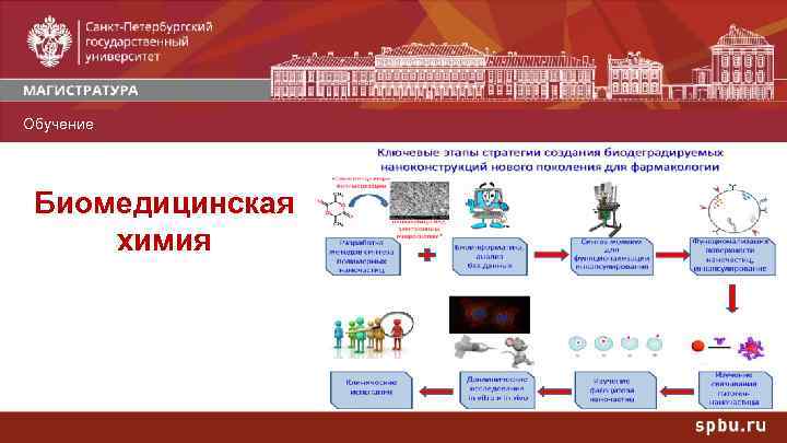 Обучение Профили Биомедицинская химия 
