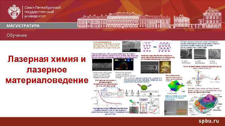 Обучение Профили Лазерная химия и лазерное материаловедение 