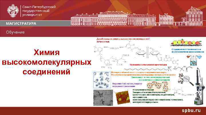 Обучение Профили Химия высокомолекулярных соединений 