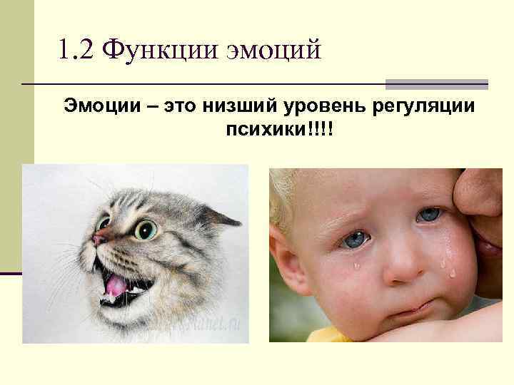 1. 2 Функции эмоций Эмоции – это низший уровень регуляции психики!!!! 
