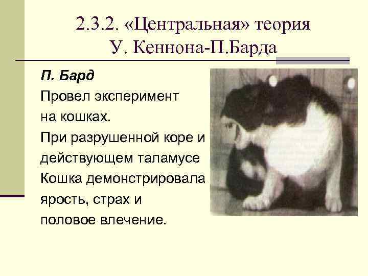 2. 3. 2. «Центральная» теория У. Кеннона-П. Барда П. Бард Провел эксперимент на кошках.