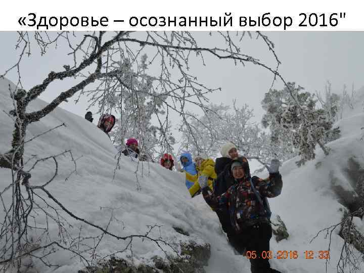  «Здоровье – осознанный выбор 2016" 