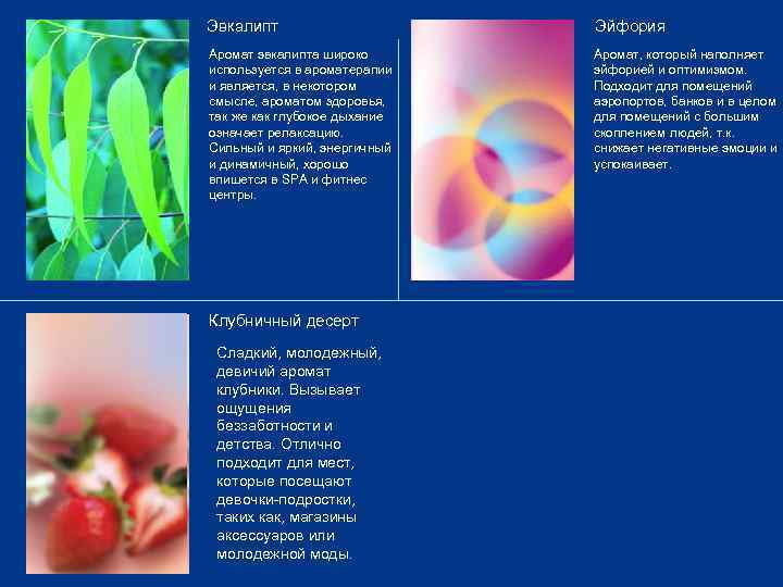 Эвкалипт Эйфория Аромат эвкалипта широко используется в ароматерапии и является, в некотором смысле, ароматом