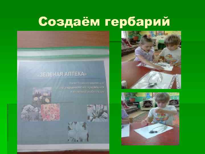 Создаём гербарий 