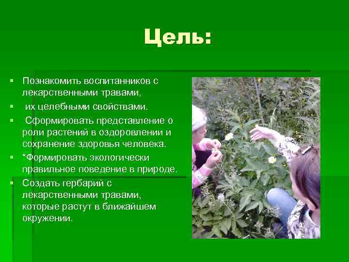 Цель: § Познакомить воспитанников с лекарственными травами, § их целебными свойствами. § Сформировать представление