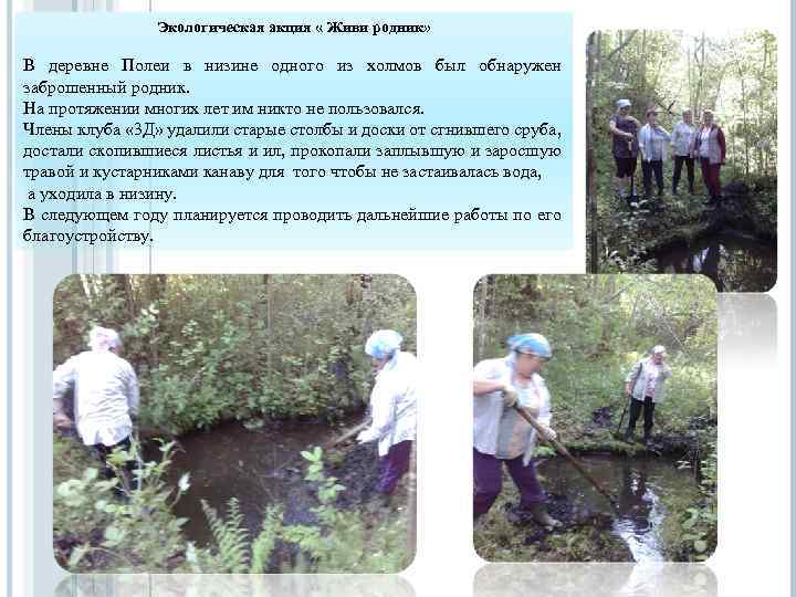 Экологическая акция « Живи родник» В деревне Полеи в низине одного из холмов был