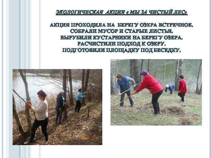 ЭКОЛОГИЧЕСКАЯ АКЦИЯ « МЫ ЗА ЧИСТЫЙ ЛЕС» АКЦИЯ ПРОХОДИЛА НА БЕРЕГУ ОЗЕРА ВСТРЕЧНОЕ. СОБРАЛИ
