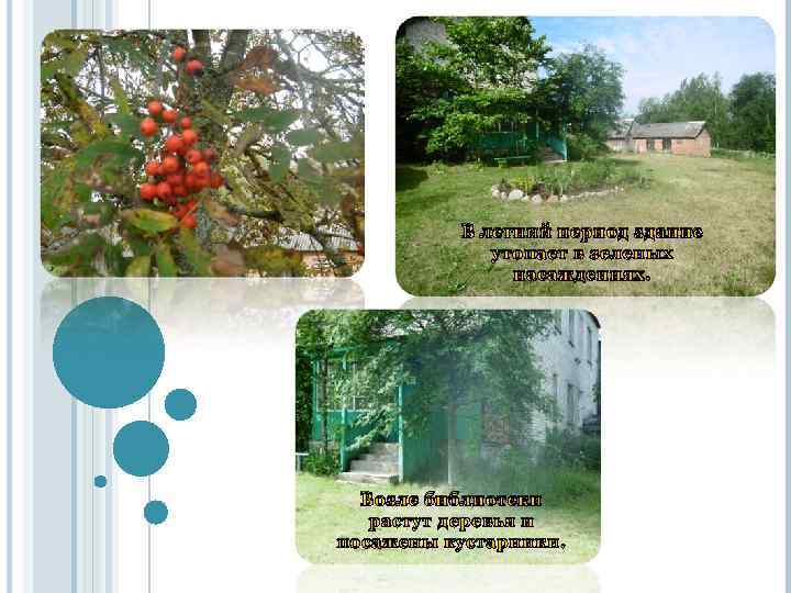 В летний период здание утопает в зеленых насаждениях. Возле библиотеки растут деревья и посажены