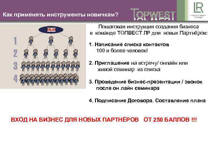 Как применять инструменты новичкам? Пошаговая инструкция создания бизнеса в команде ТОПВЕСТ ЛР для новых