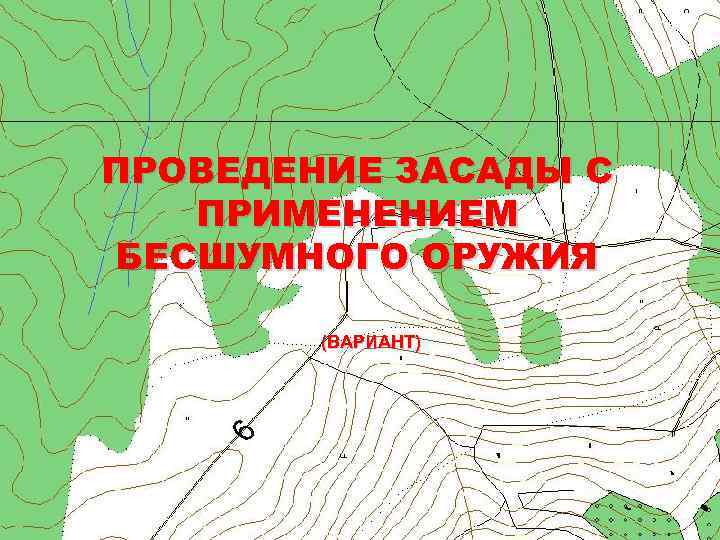 ПРОВЕДЕНИЕ ЗАСАДЫ С ПРИМЕНЕНИЕМ БЕСШУМНОГО ОРУЖИЯ (ВАРИАНТ) 