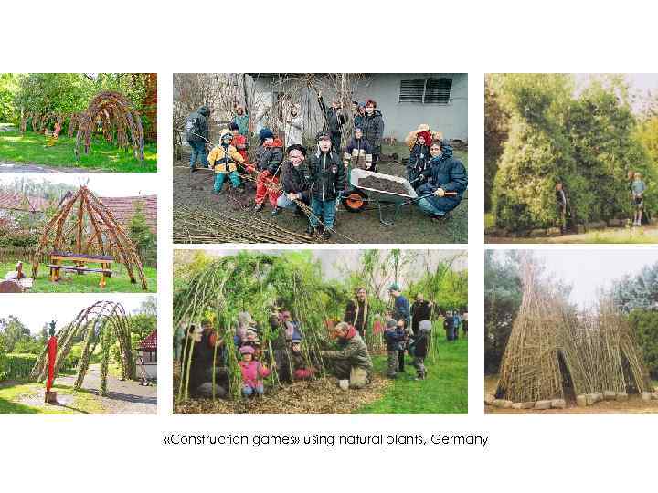  «Construction games» using natural plants, Germany 
