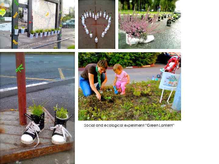 Social and ecological experiment “Green Lantern” 