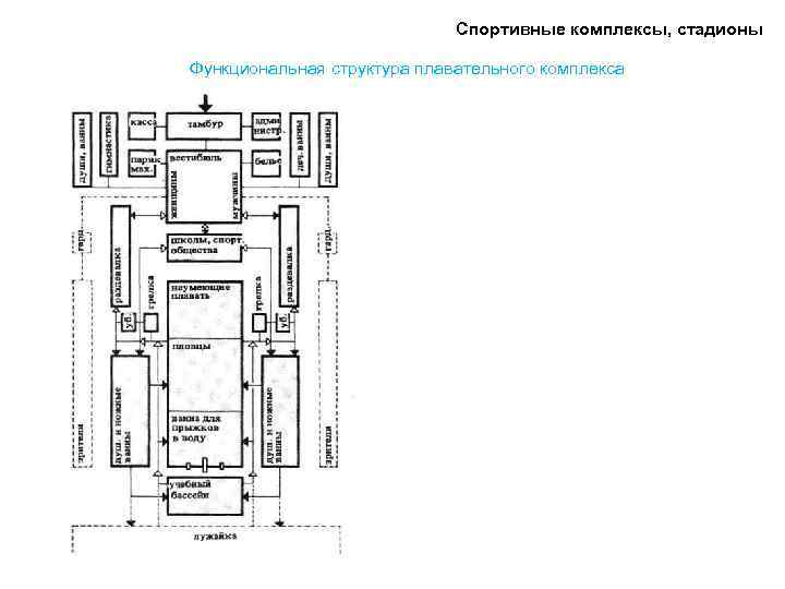 Спортивные комплексы, стадионы Функциональная структура плавательного комплекса 