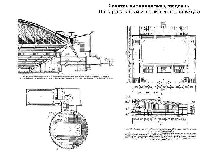Спортивные комплексы, стадионы Пространственная и планировочная структура 