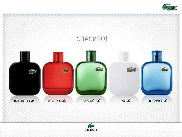 СПАСИБО! НАСЫЩЕННЫЙ ЭНЕРГИЧНЫЙ СПОКОЙНЫЙ ЧИСТЫЙ ДИНАМИЧНЫЙ 