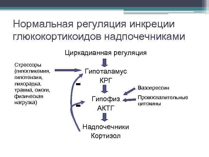 Нормальная регуляция инкреции глюкокортикоидов надпочечниками Циркадианная регуляция Стрессоры (гипогликемия, гипотензия, лихорадка, травма, ожоги, физическая