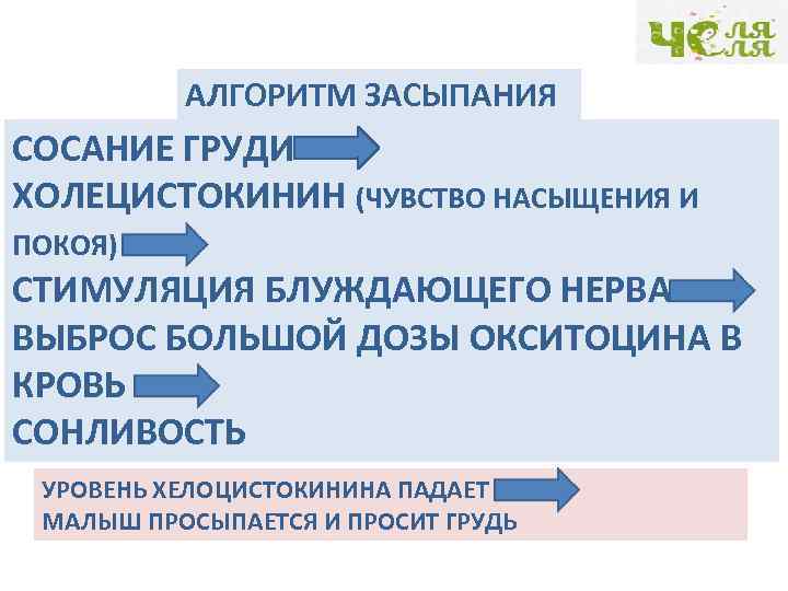 АЛГОРИТМ ЗАСЫПАНИЯ СОСАНИЕ ГРУДИ ХОЛЕЦИСТОКИНИН (ЧУВСТВО НАСЫЩЕНИЯ И ПОКОЯ) СТИМУЛЯЦИЯ БЛУЖДАЮЩЕГО НЕРВА ВЫБРОС БОЛЬШОЙ