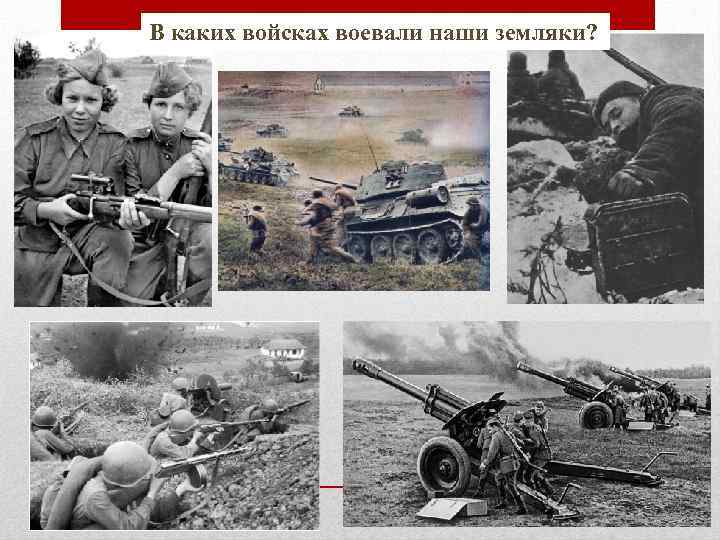 В каких войсках воевали наши земляки? 