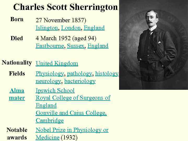 Charles Scott Sherrington Born 27 November 1857) Islington, London, England Died 4 March 1952
