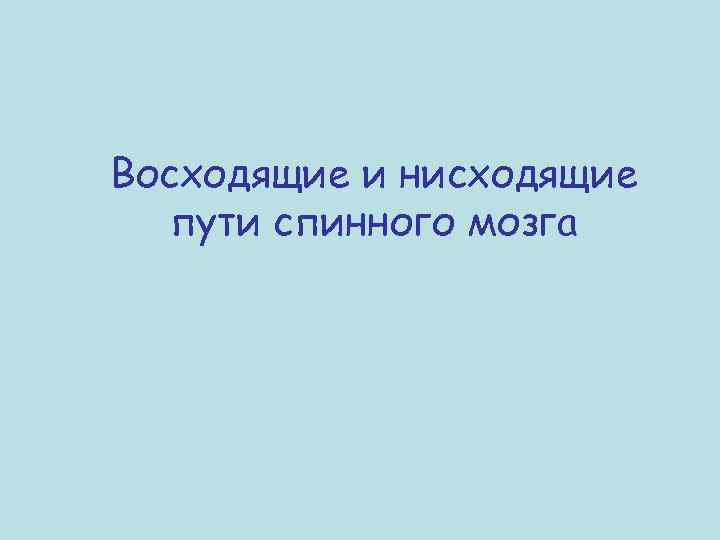 Восходящие и нисходящие пути спинного мозга 