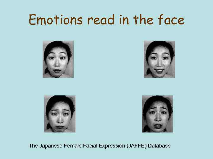 Emotions read in the face The Japanese Female Facial Expression (JAFFE) Database 
