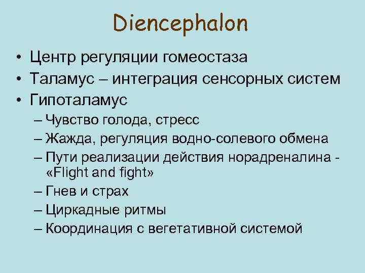 Diencephalon • Центр регуляции гомеостаза • Таламус – интеграция сенсорных систем • Гипоталамус –