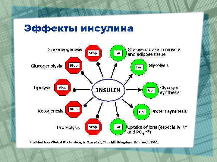 Эффекты инсулина 