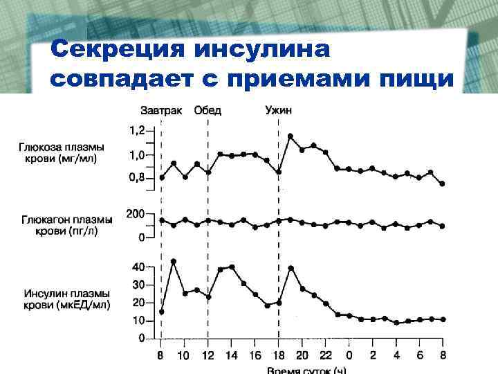 Секреция инсулина совпадает с приемами пищи 