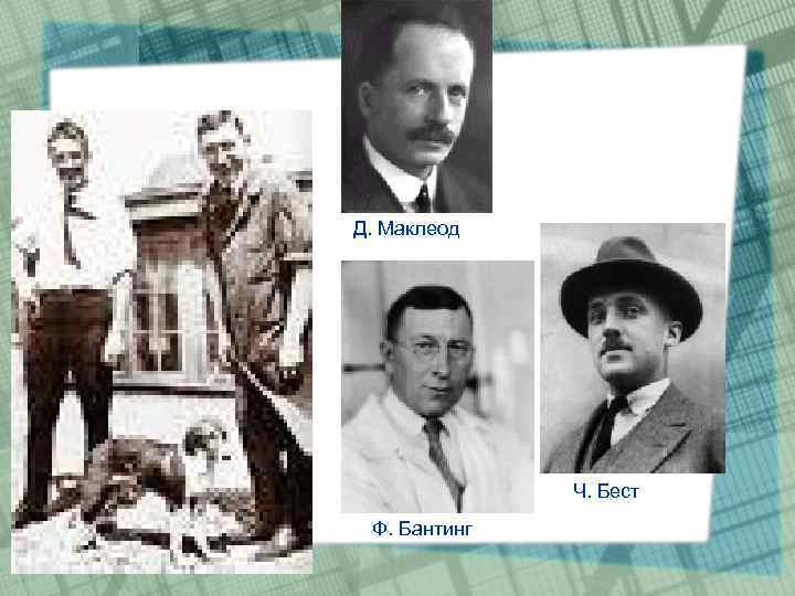 Д. Маклеод Ч. Бест Ф. Бантинг 