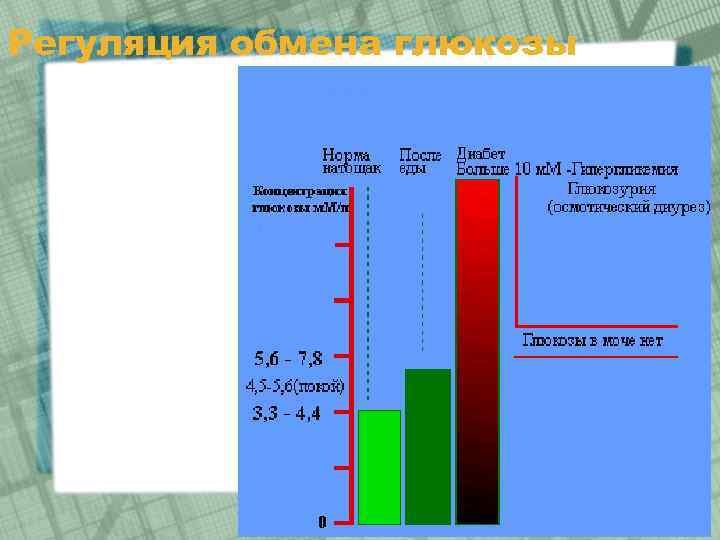 Регуляция обмена глюкозы 