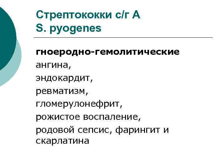 Стрептококки с/г А S. pyogenes гноеродно-гемолитические ангина, эндокардит, ревматизм, гломерулонефрит, рожистое воспаление, родовой сепсис,