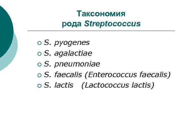 Таксономия рода Streptococcus S. ¡ S. ¡ pyogenes agalactiae pneumoniae faecalis (Enterococcus faecalis) lactis