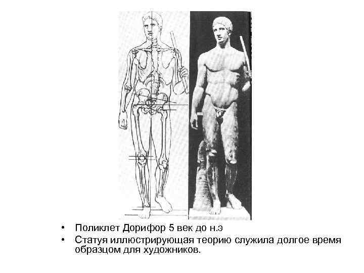  • Поликлет Дорифор 5 век до н. э • Статуя иллюстрирующая теорию служила