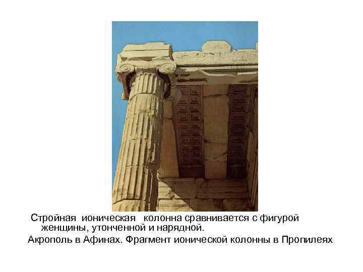 Стройная ионическая колонна сравнивается с фигурой женщины, утонченной и нарядной. Акрополь в Афинах. Фрагмент