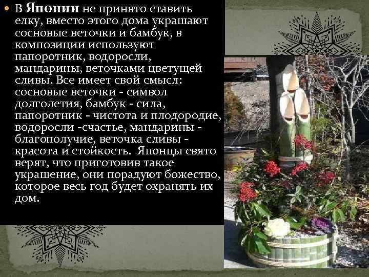  В Японии не принято ставить елку, вместо этого дома украшают сосновые веточки и