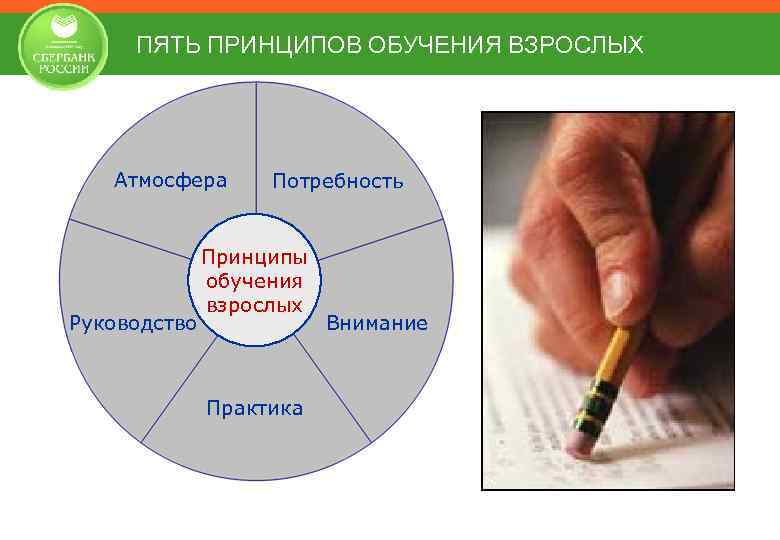 ПЯТЬ ПРИНЦИПОВ ОБУЧЕНИЯ ВЗРОСЛЫХ Атмосфера Руководство Потребность Принципы обучения взрослых Практика Внимание 