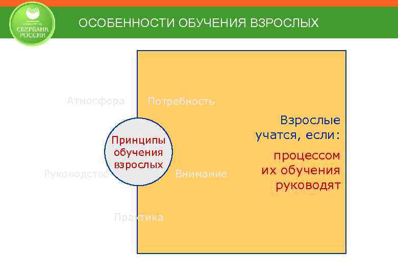 ОСОБЕННОСТИ ОБУЧЕНИЯ ВЗРОСЛЫХ Атмосфера Руководство Потребность Принципы обучения взрослых Практика Взрослые учатся, если: Внимание