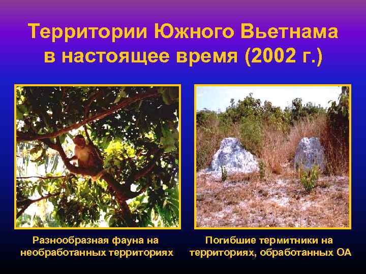 Территории Южного Вьетнама в настоящее время (2002 г. ) Разнообразная фауна на необработанных территориях