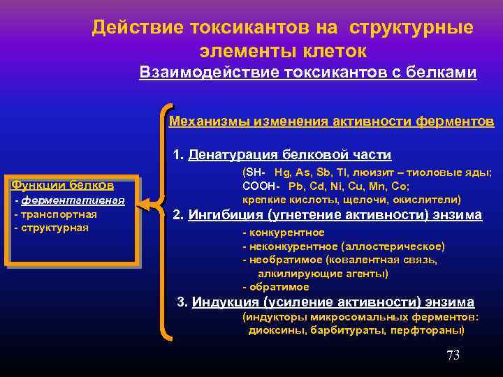 Действие токсикантов на структурные элементы клеток Взаимодействие токсикантов с белками Механизмы изменения активности ферментов