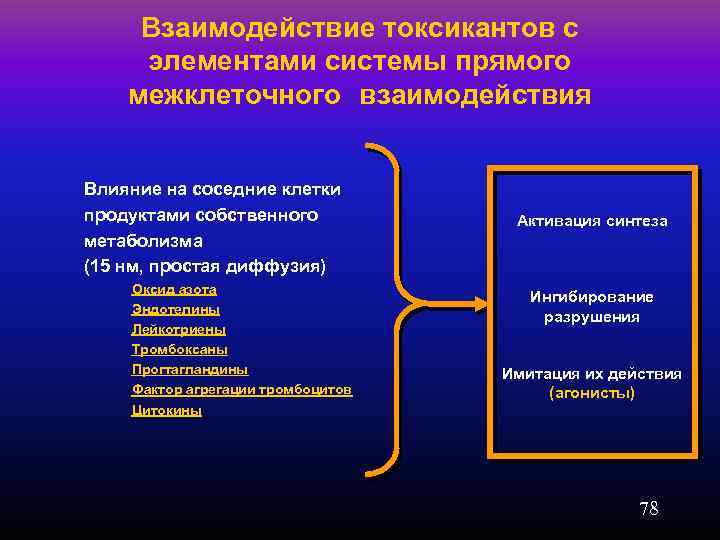 Взаимодействие токсикантов с элементами системы прямого межклеточного взаимодействия Влияние на соседние клетки продуктами собственного