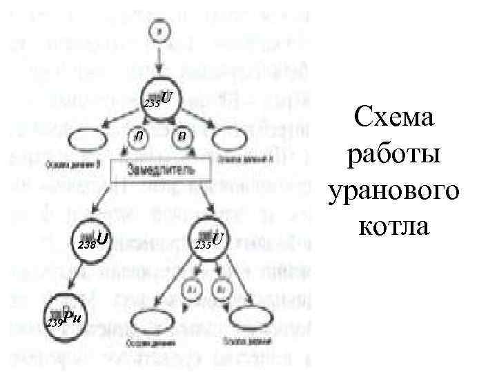 235 U n 238 U 239 Pu n 235 U Схема работы уранового котла