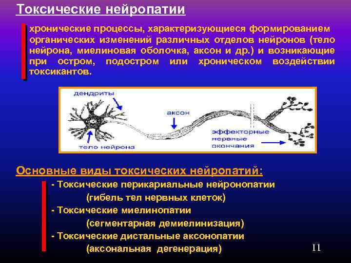 Токсические нейропатии хронические процессы, характеризующиеся формированием органических изменений различных отделов нейронов (тело нейрона, миелиновая